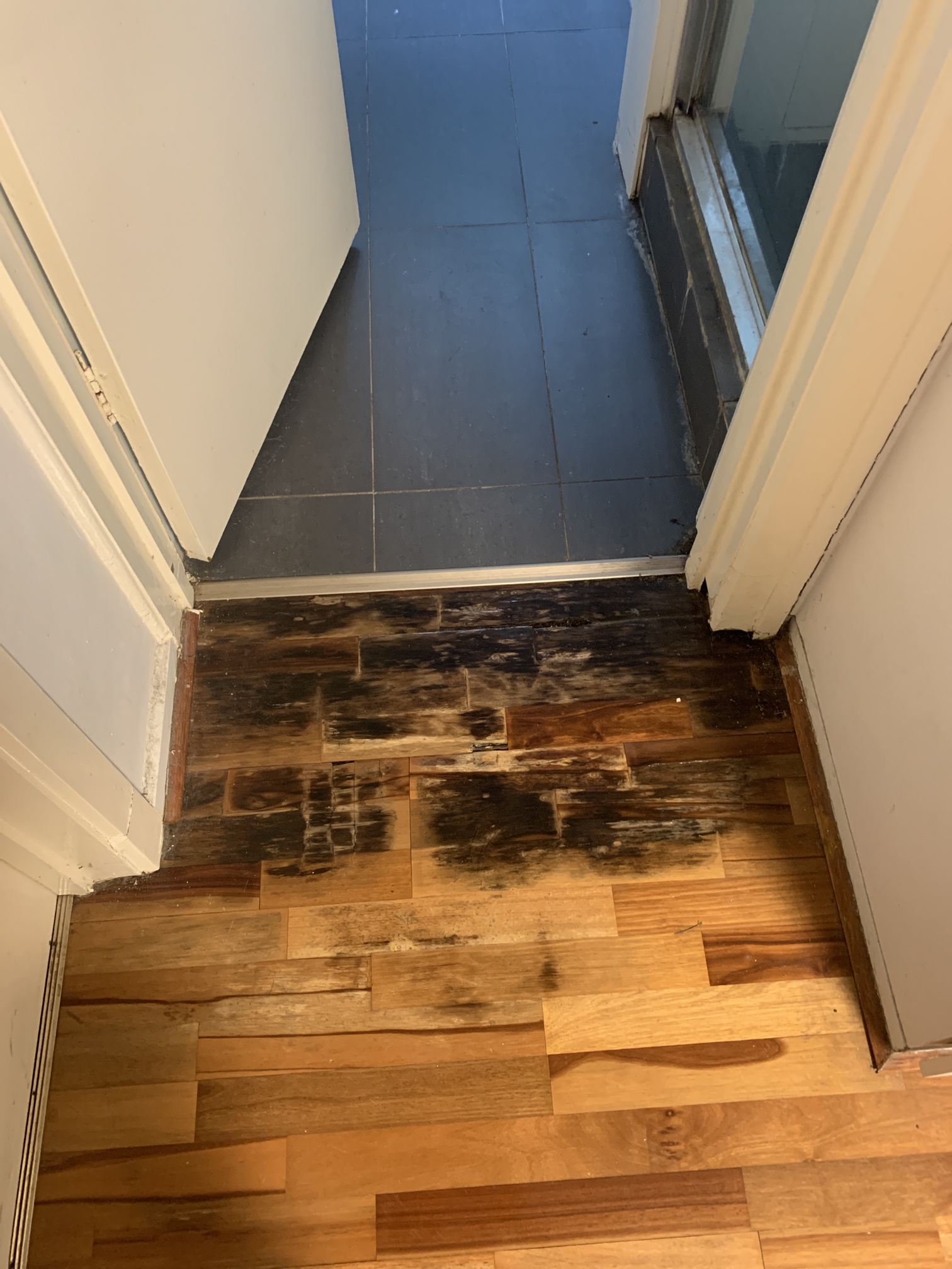 Bathrooms & Tiling completed by JT Handyman in Balaclava